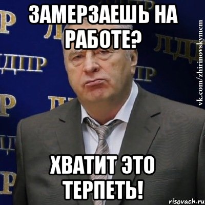 замерзаешь на работе? хватит это терпеть!, Мем Хватит это терпеть (Жириновский)