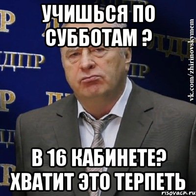 Учишься по субботам ? в 16 кабинете? хватит это терпеть, Мем Хватит это терпеть (Жириновский)