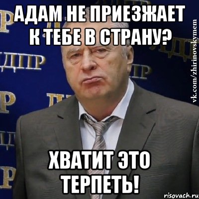 Адам не приезжает к тебе в страну? Хватит это терпеть!, Мем Хватит это терпеть (Жириновский)