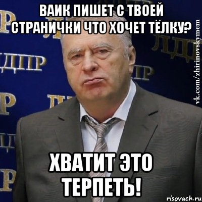 Ваик пишет с твоей странички что хочет тёлку? Хватит это терпеть!, Мем Хватит это терпеть (Жириновский)