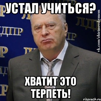 Устал учиться? Хватит это терпеть!, Мем Хватит это терпеть (Жириновский)