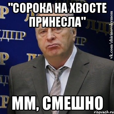 "сорока на хвосте принесла" мм, смешно, Мем Хватит это терпеть (Жириновский)