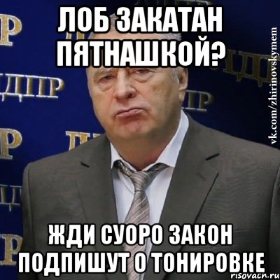 лоб закатан пятнашкой? жди суоро закон подпишут о тонировке, Мем Хватит это терпеть (Жириновский)