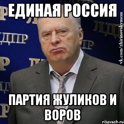 Единая Россия партия жуликов и воров, Мем Хватит это терпеть (Жириновский)