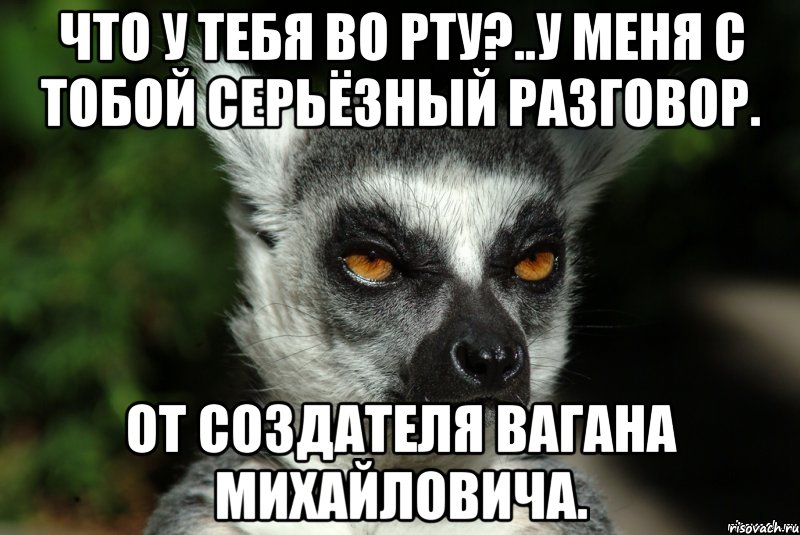 ЧТО У ТЕБЯ ВО РТУ?..У МЕНЯ С ТОБОЙ СЕРЬЁЗНЫЙ РАЗГОВОР. ОТ СОЗДАТЕЛЯ ВАГАНА МИХАЙЛОВИЧА., Мем   Я збагоен