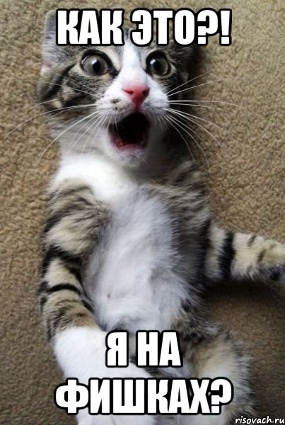 как это?! я на фишках?