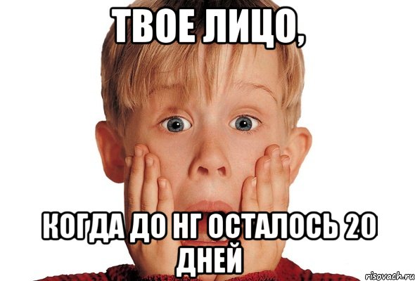 твое лицо, когда до НГ осталось 20 дней
