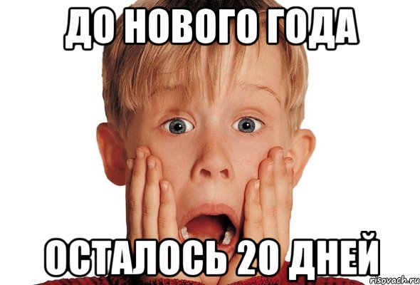 до нового года осталось 20 дней
