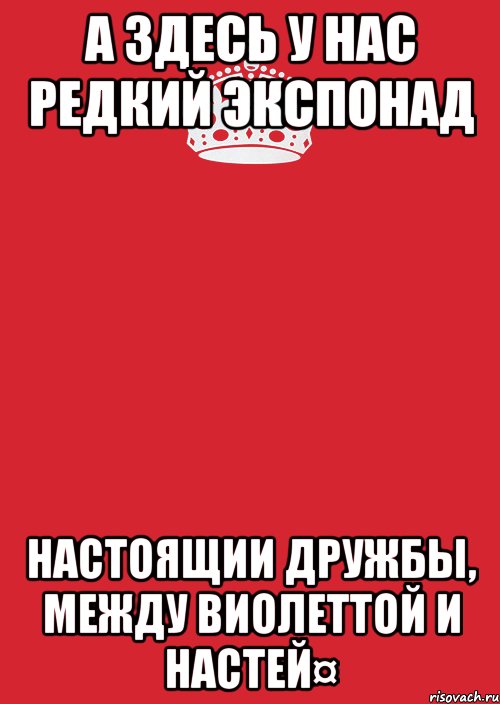 А здесь у нас редкий экспонад настоящии дружбы, между Виолеттой и Настей¤, Комикс Keep Calm 3
