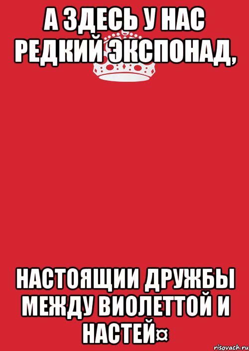 А здесь у нас редкий экспонад, настоящии дружбы между Виолеттой и Настей¤, Комикс Keep Calm 3