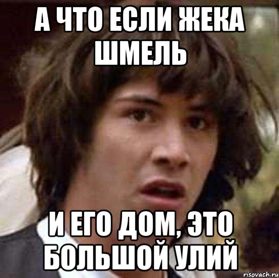 А что если Жека шмель И его дом, это большой улий, Мем А что если (Киану Ривз)