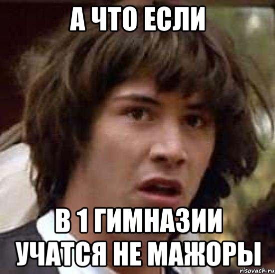 А ЧТО ЕСЛИ в 1 Гимназии учатся не мажоры, Мем А что если (Киану Ривз)