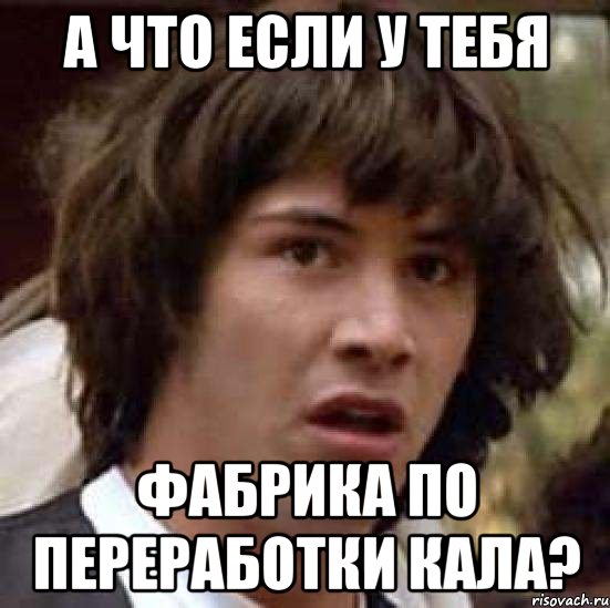 А что если у тебя фабрика по переработки кала?, Мем А что если (Киану Ривз)