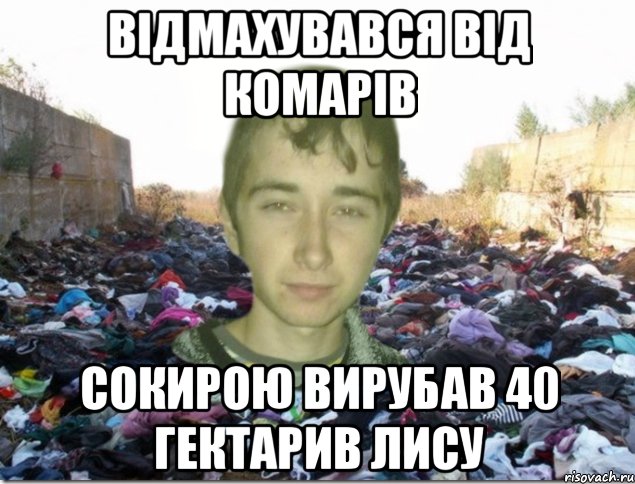 відмахувався від комарів сокирою вирубав 40 гектарив лису