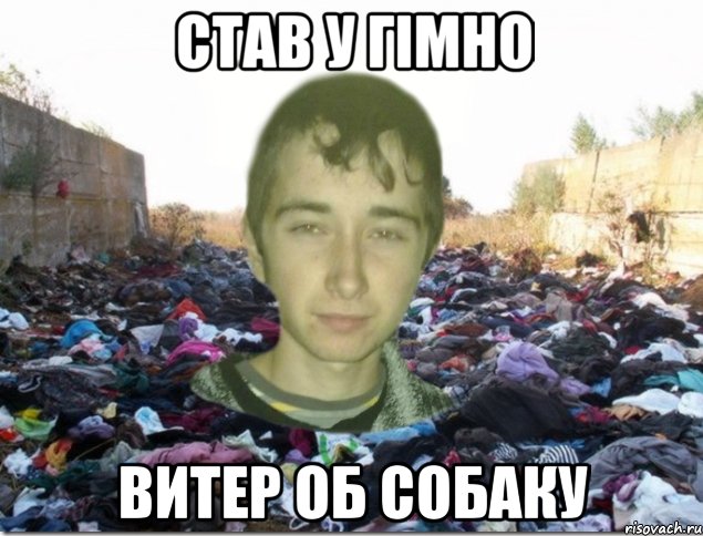 став у гімно витер об собаку