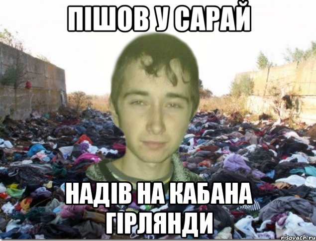 пішов у сарай надів на кабана гірлянди