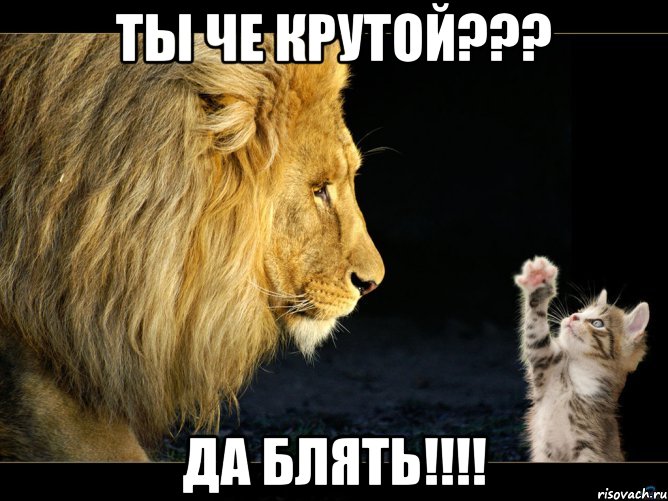 ты че крутой??? Да блять!!!!