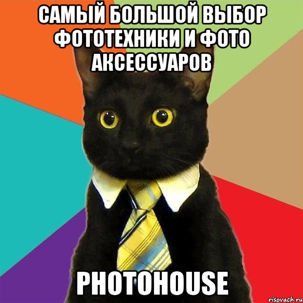 Самый большой выбор фототехники и фото аксессуаров Photohouse, Мем  Кошечка