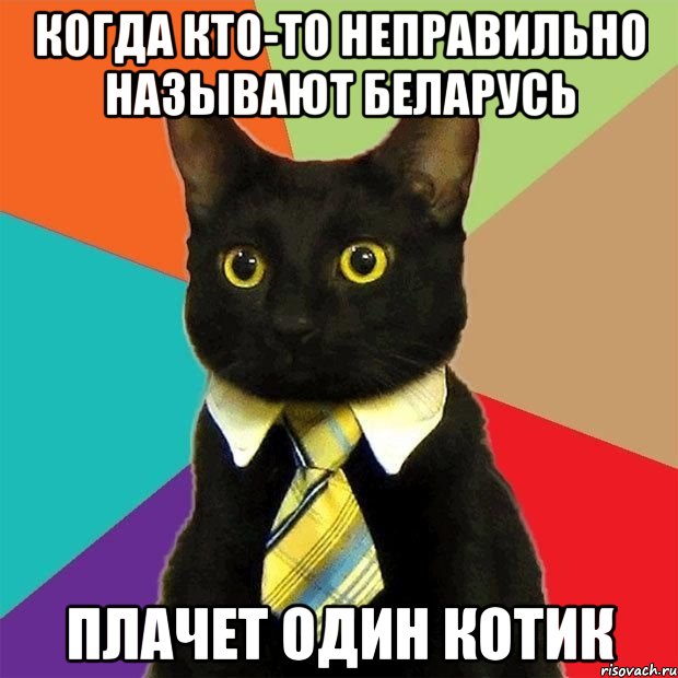 Когда кто-то неправильно называют Беларусь плачет один котик, Мем  Кошечка
