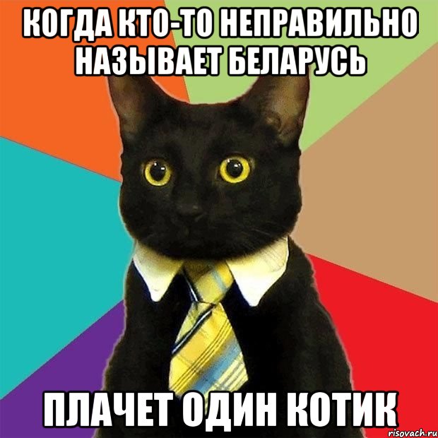 Когда кто-то неправильно называет Беларусь плачет один котик, Мем  Кошечка