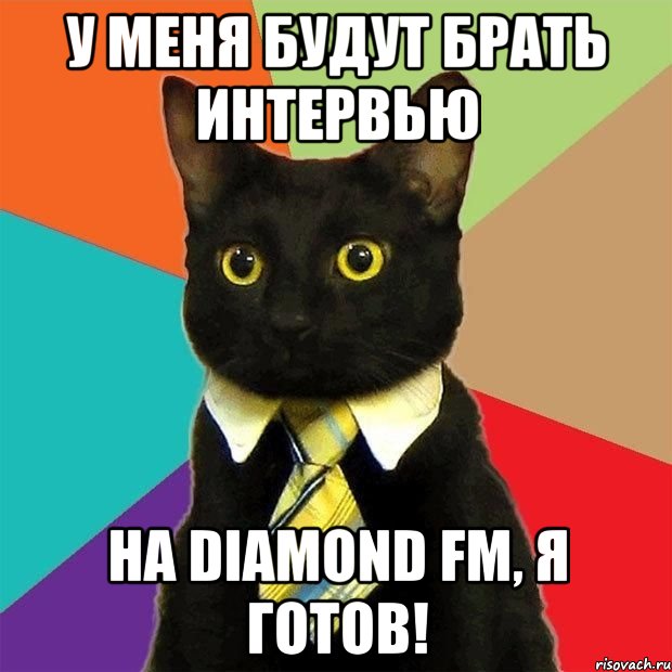 У меня будут брать интервью на Diamond FM, я готов!, Мем  Кошечка