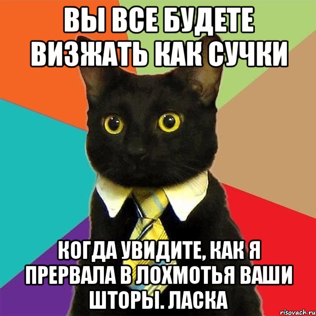 вы все будете визжать как сучки когда увидите, как я прервала в лохмотья ваши шторы. Ласка, Мем  Кошечка