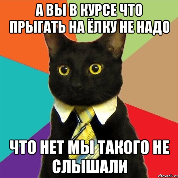 а вы в курсе что прыгать на ёлку не надо что нет мы такого не слышали, Мем  Кошечка