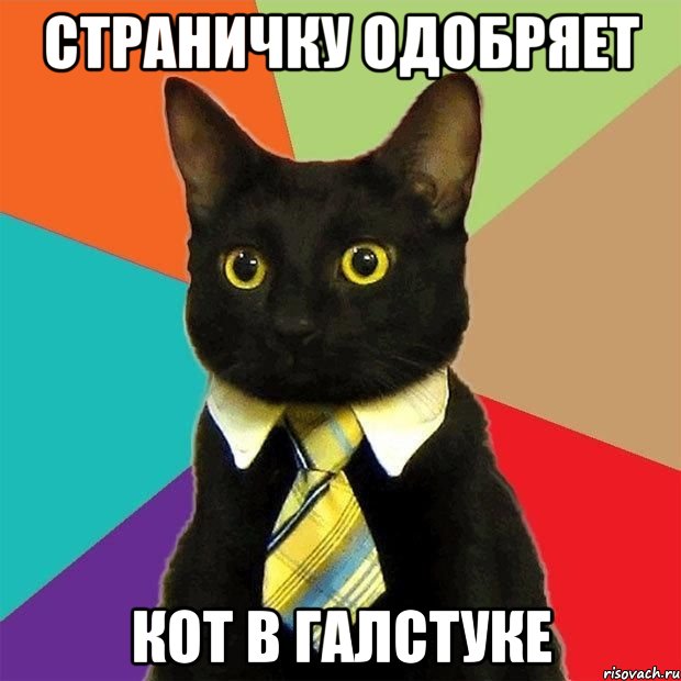 страничку одобряет кот в галстуке, Мем  Кошечка
