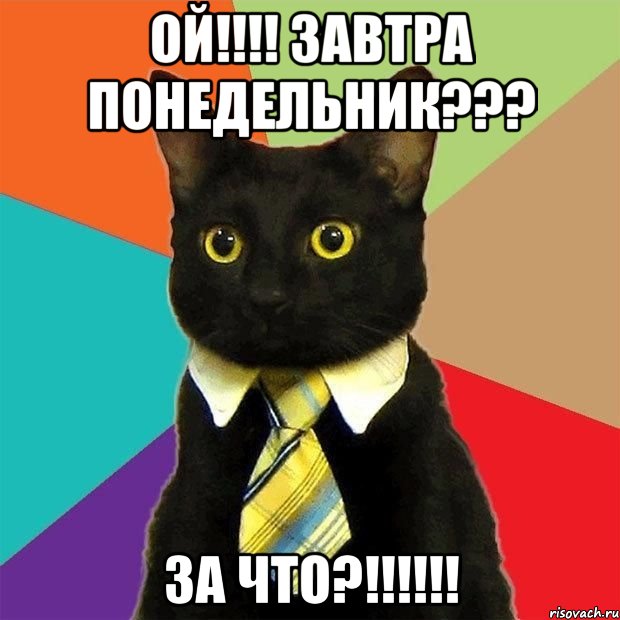 Ой!!!! Завтра понедельник??? За что?!!!!!!, Мем  Кошечка