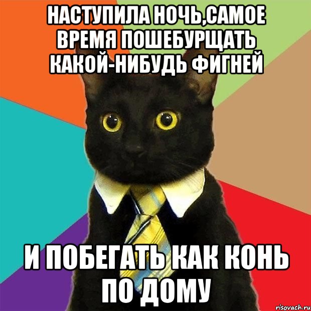 наступила ночь,самое время пошебурщать какой-нибудь фигней и побегать как конь по дому, Мем  Кошечка