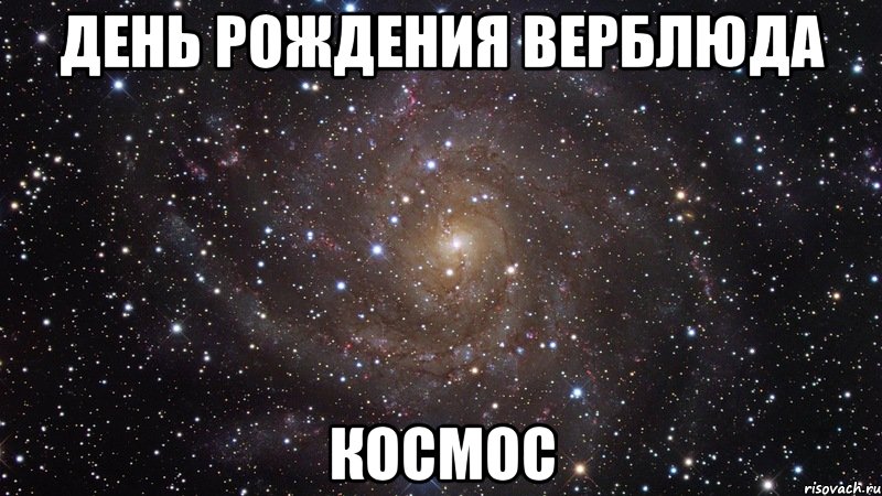 День Рождения Верблюда космос, Мем  Космос (офигенно)