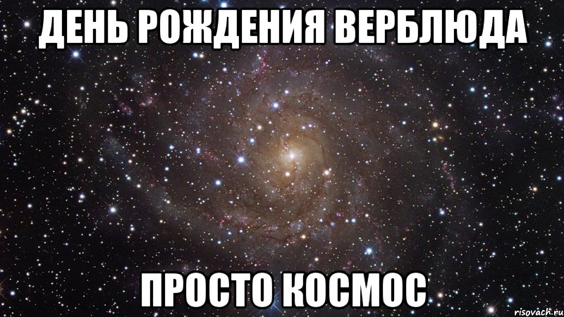 День Рождения Верблюда просто космос, Мем  Космос (офигенно)