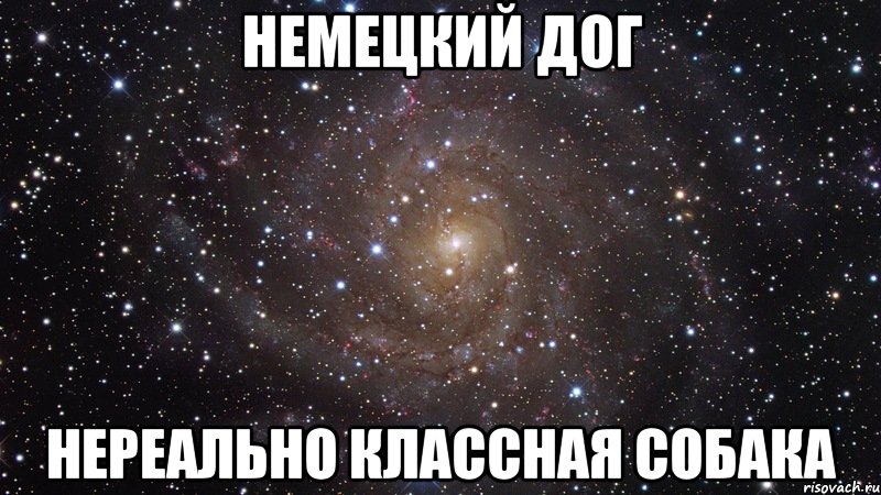 Немецкий дог нереально классная собака, Мем  Космос (офигенно)