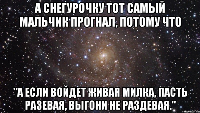 А снегурочку тот самый мальчик прогнал, потому что "А если войдет живая милка, пасть разевая, выгони не раздевая.", Мем  Космос (офигенно)