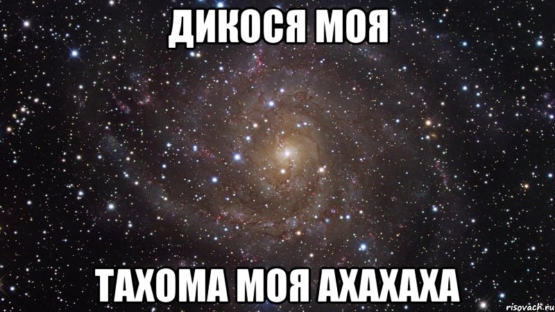 Дикося моя Тахома моя Ахахаха, Мем  Космос (офигенно)