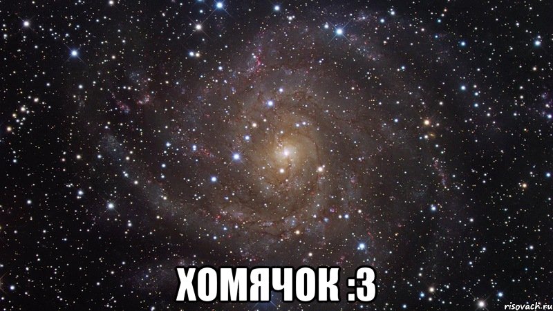  хомячок :3, Мем  Космос (офигенно)