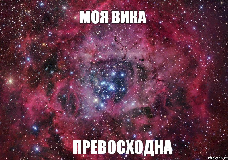 МОЯ ВИКА ПРЕВОСХОДНА, Мем Ты просто космос