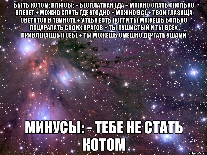 БЫТЬ КОТОМ: Плюсы: + Бесплатная еда + Можно спать сколько влезет + Можно спать где угодно + Можно всё + Твои глазища светятся в темноте + У тебя есть когти ты можешь больно поцарапать своих врагов + Ты пушистый и ты всех привлекаешь к себе + Ты можешь смешно дёргать ушами Минусы: - Тебе не стать котом, Мем Космос