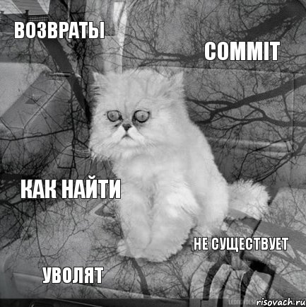 возвраты COMMIT уволят не существует как найти