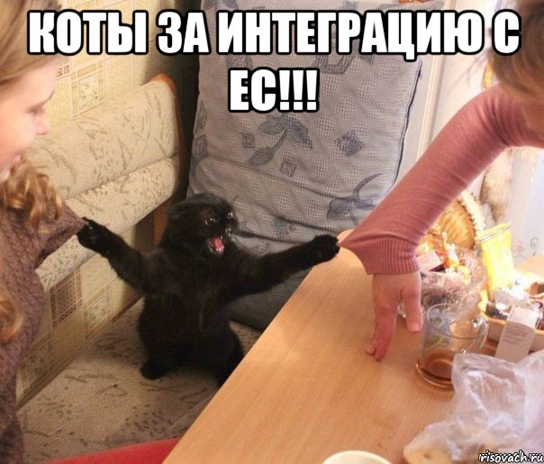 коты за интеграцию с ЕС!!! 