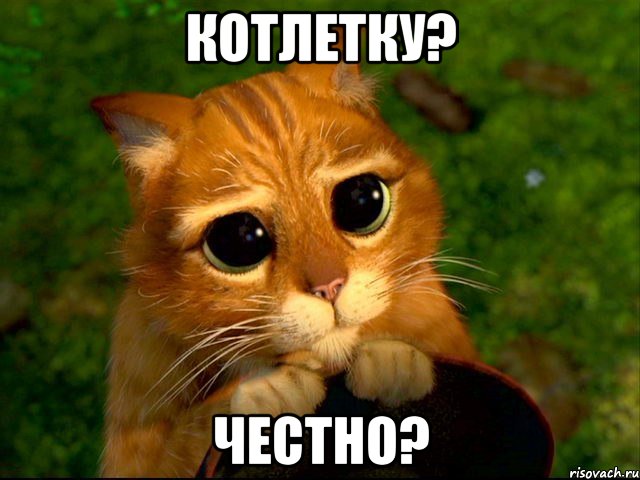 котлетку? честно?, Мем кот из шрека