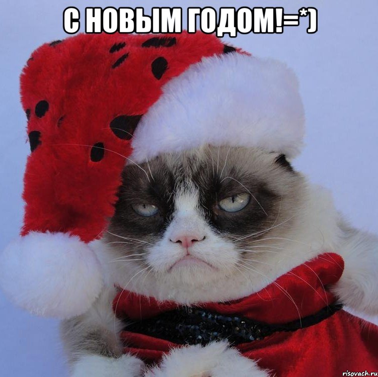 С Новым Годом!=*) , Мем   С нг кароч