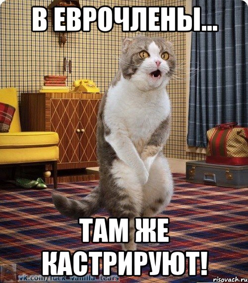 В ЕВРОЧЛЕНЫ... Там же кастрируют!