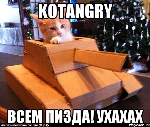 KOTANGRY Всем пизда! Ухахах