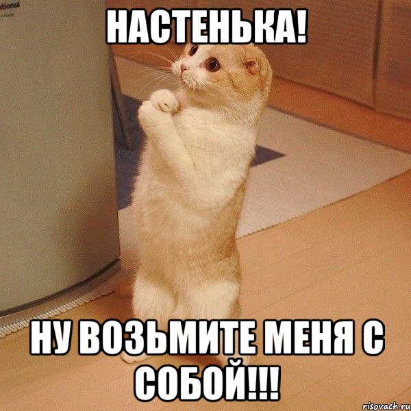 НАСТЕНЬКА! НУ ВОЗЬМИТЕ МЕНЯ С СОБОЙ!!!, Мем  котэ молится