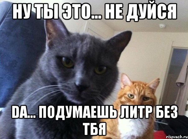 ну ты это... Не дуйся da... Подумаешь литр Без тбя, Мем  Два котэ