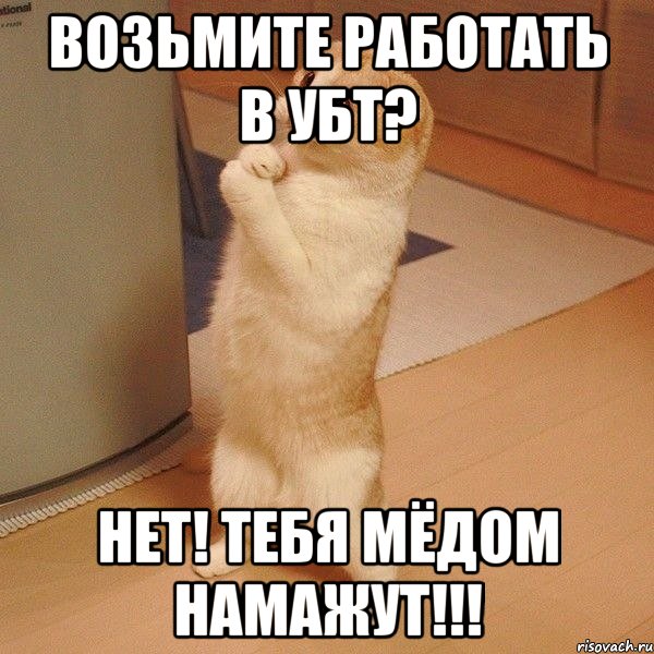 Возьмите работать в УБТ? НЕТ! ТЕБЯ МЁДОМ НАМАЖУТ!!!, Мем  котэ молится