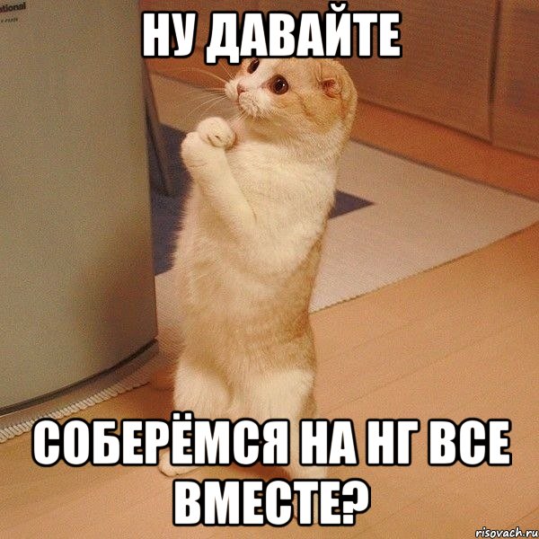 Ну давайте соберёмся на НГ все вместе?, Мем  котэ молится