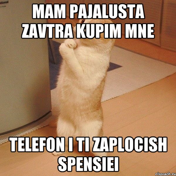 mam pajalusta zavtra kupim mne telefon i ti zaplocish spensiei, Мем  котэ молится