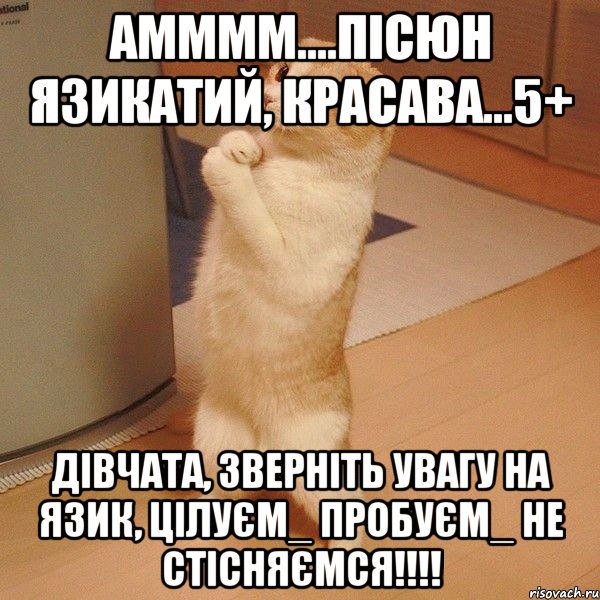 Амммм....пісюн язикатий, КРАСАВА...5+ Дівчата, зверніть увагу на язик, цілуєм_ пробуєм_ не стісняємся!!!!, Мем  котэ молится